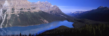 475 Peyto Lake