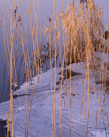 Iced Brathay Reeds fr12