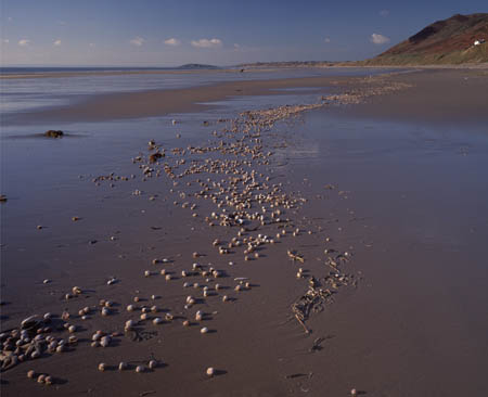Rhossili Beach pebbles c1