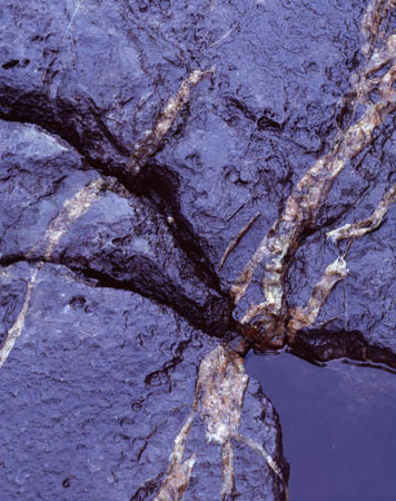 Rock Veins, Embleton