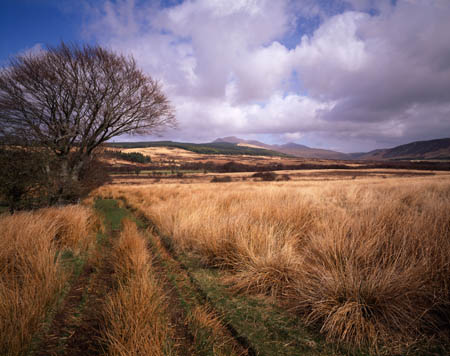 Machrie-Stones-View