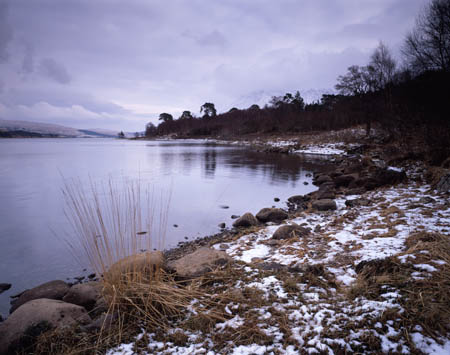 Loch Tulla view gf reeds