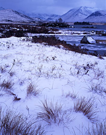 Rannoch tufts and Bla#C1A9F