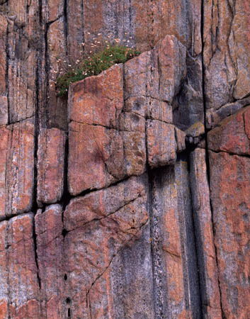 Rock detail near Durness