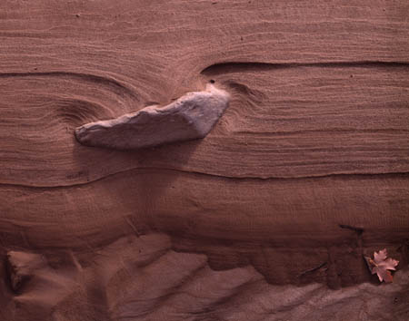 Rock & Leaf detail